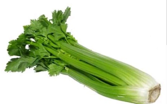Celery Fresh